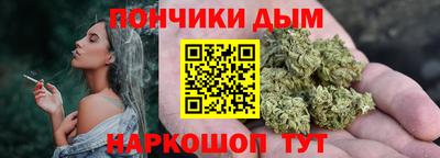 прущие грибы Усть-Джегута